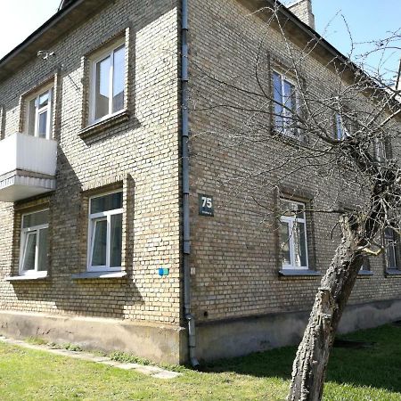 Siauliai Central Spot Apartment Zewnętrze zdjęcie